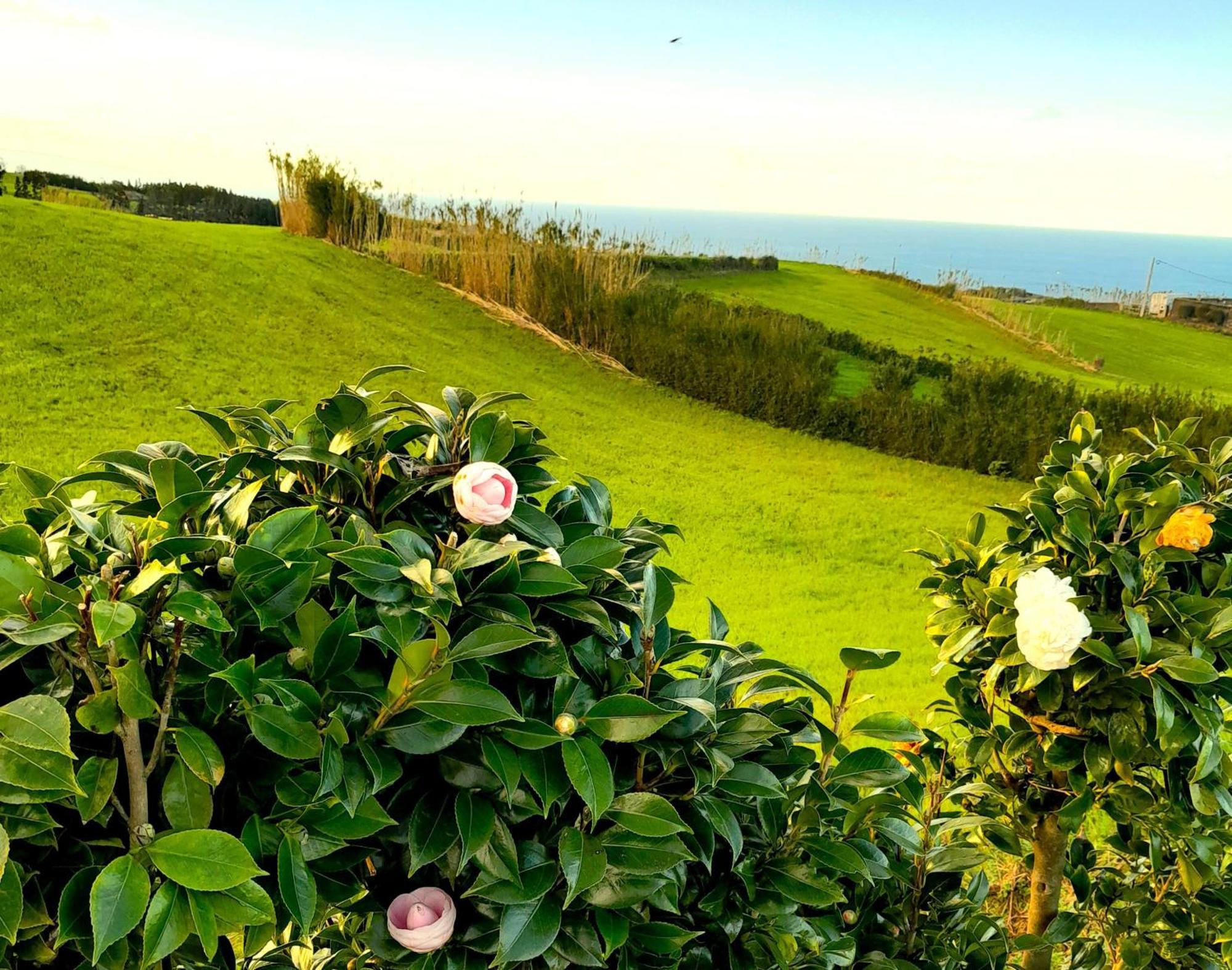 Casa Da Salga Nordeste (Azores) Exterior foto